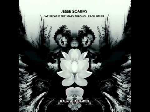 Jesse Somfay - For One Brief Moment I Was There