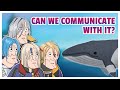 𝐓𝐄𝐌𝐏𝐔𝐒 𝐁𝐨𝐲𝐬 Try to Speak The Whale Language But The Language Barrier Is Too Strong 【Holostars EN】