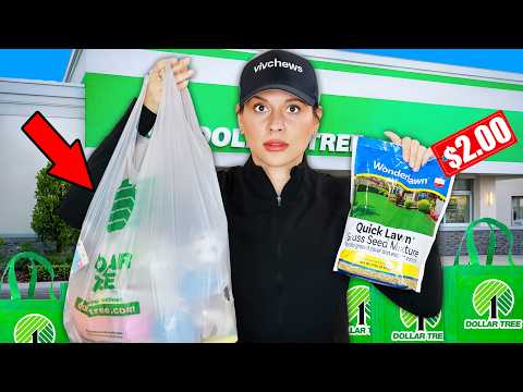 Dollar Tree Changed Again: New Dollar Tree Products You Need to See