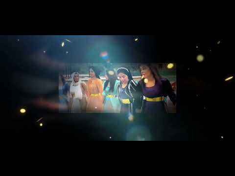 Her Qizeke me - Dilşirîn beat / Kurdish Remix ( Delil Dilanar )