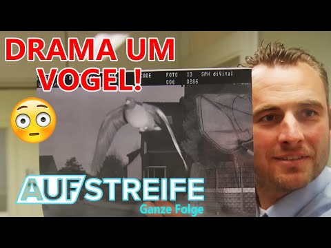 Drama um Vogel: Vermisster Vogel löst Blitzer aus! | Auf Streife-Ganze Folge | SAT.1