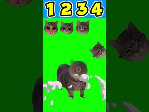 OIIA SPINNING CAT BATTLE #2 #oiiaoiia