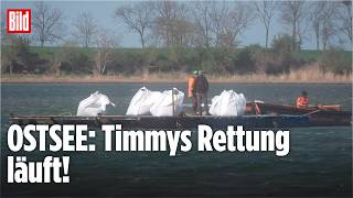 OSTSEE-WAL: Timmys Rettung läuft, die Big Bags sind da