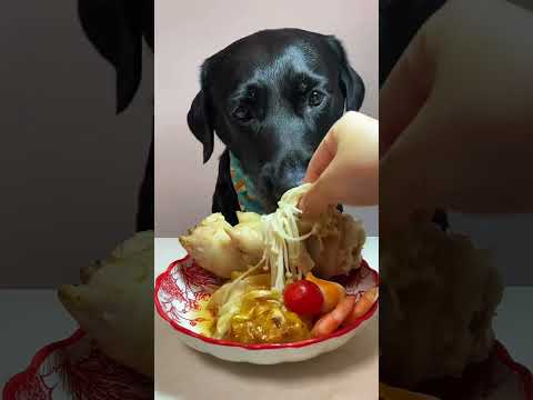 What I ate today is pig claws~ QQ's glutinous mother is so delicious. Cute pet debut plan. Fan 🌈 P49