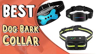 Best Dog Bark Collar | Top 5 Dog Bark Collar | What Is the Most Effective Dog Bark Collar?