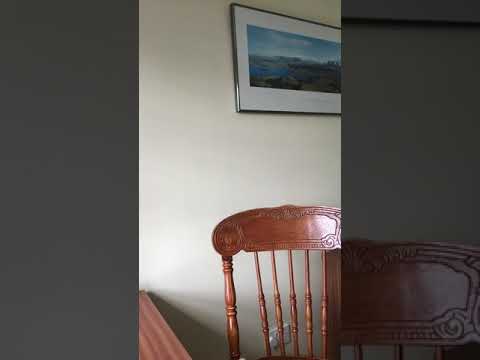 1. Walton 1st Symphony