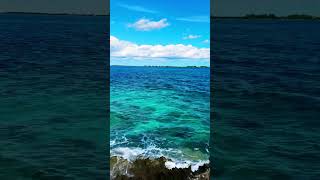 Carnival Venezia to the Bahamas where we enjoyed these views. #solotravel #travel #carnival