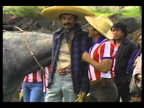 He who knows, knows video 7