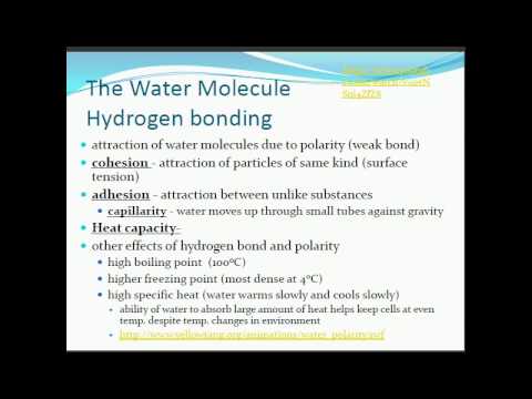 Chemistry Water Notes