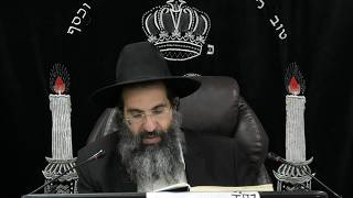 מסכת בבא בתרא - דף כ: - כא. | חלק 39  | הרב שי עובד (הרב שי עובד) - התמונה מוצגת ישירות מתוך אתר האינטרנט יוטיוב. זכויות היוצרים בתמונה שייכות ליוצרה. קישור קרדיט למקור התוכן נמצא בתוך דף הסרטון