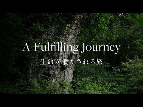 【屋久島】World Heritage Hopping : 屋久島と奄美大島を巡る世界遺産の旅 - A Fulfilling Journey 生命が満たされる旅
