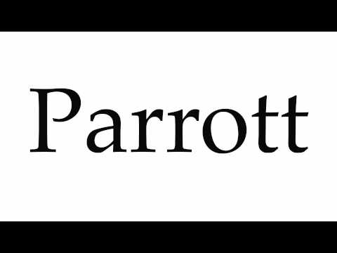 How to Pronounce Parrott