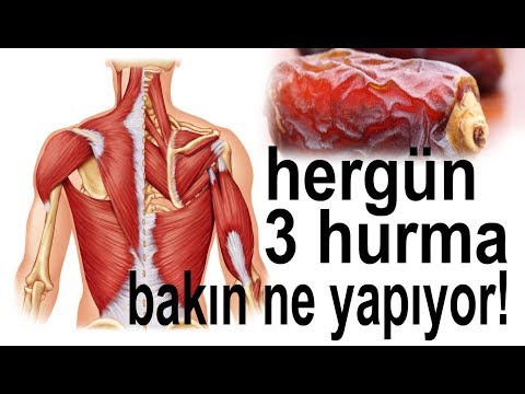 ⋆ Palm yağı, Kalori, yararları ve zararları, Faydaları ⋆ 🌼 Farmer