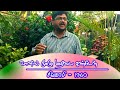 VAANIL MUZHU MATHIYAI KANDEN SIVAGAMI 1960 TMS Song Covered By Sathish Kumar