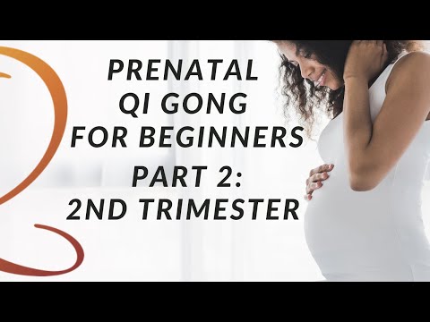 Prenatal Qi Gong For Beginners Part 2: Gentle Qi Gong Exercises for 2nd Trimester with Lee Holden