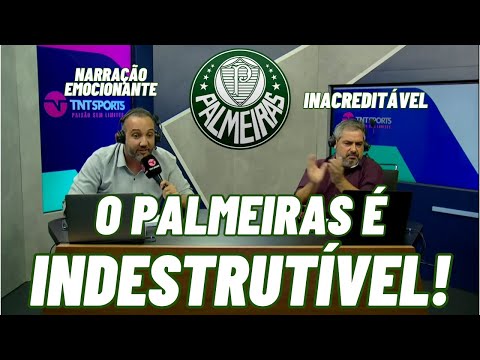 ARREPIOU! NARRAÇÃO EMOCIONANTE! NARRADOR IMPRESSIONADO VIRADA, BOTAFOGO 3X4 PALMEIRAS INDESTRUTIVEL