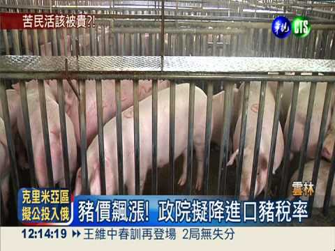 進口豬降稅抑價? 豬農大聲嗆反對!