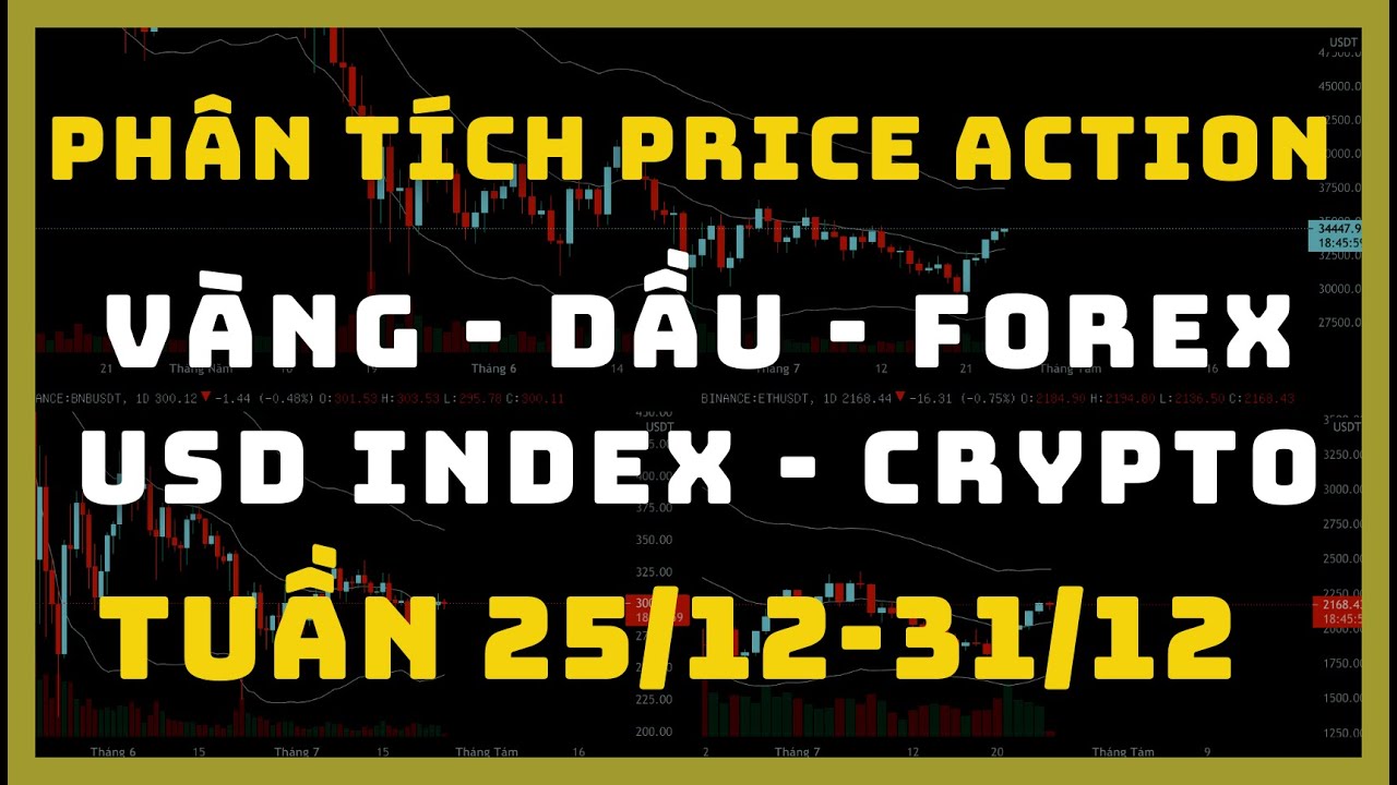Phân Tích BITCOIN - ALTCOIN Theo Price Action Tuần 25-31/12