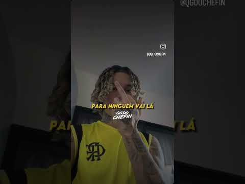 Chefin - Assault Carro Bicho