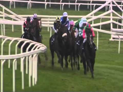 2015.10.18 Gran Criterium (ITA) - Biz Heart