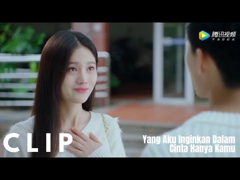 Clip EP23 An Ning ditolak lagi | Yang Aku Inginkan Dalam Cinta Hanya KamuINDO SUB