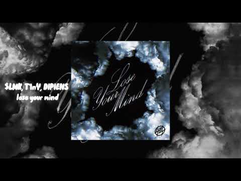 DIPIENS, $LMK, T1n'Y - lose your mind