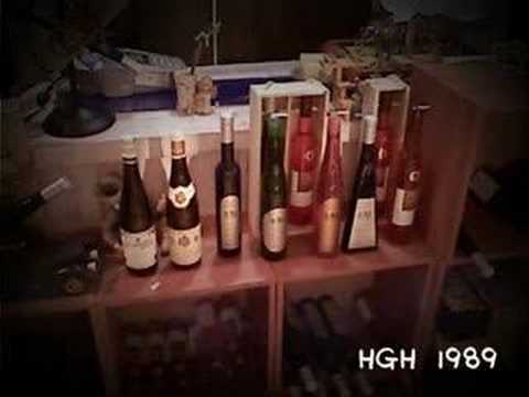 Analog Pussy - Future