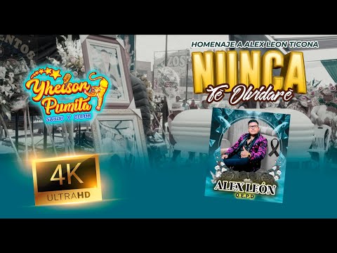 Yheison Pumita - Nunca Té Olvidaré (Se Fué)