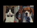 Cats And Dogs 2 Butch Gets Mad Along With The Others