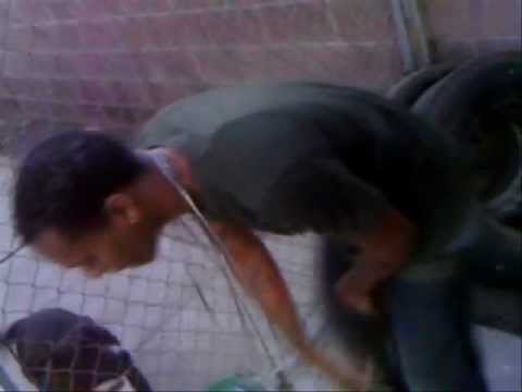 Daysta - Retarded Persona _ Official Video