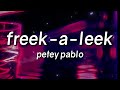 Petey Pablo Freek A Leek Lyrics