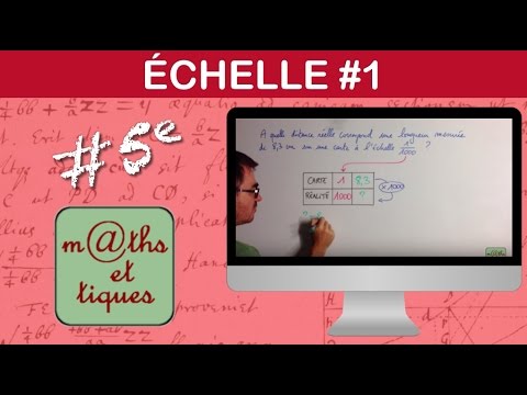 Utiliser une échelle - Cinquième