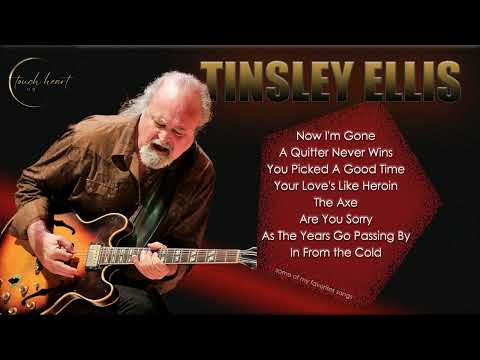 TINSLEY ELLIS some of my favorites songs .. touch heart GR