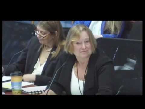 VOA Director Amanda Bennet at June 2016 BBG Meeting