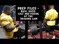 Pro Debut Prep Files Back & Hams