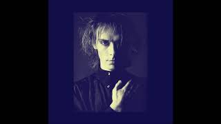 Peter Murphy Live Toronto 1987 (Full Concert)