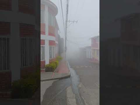 día de mucho frío y neblina en mi pueblo ragonvalia norte de Santander 💚🤍🧡