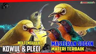 Download lagu MASTERAN SOGON MATERI TERBAIK // KOWUL & PLECI mp3 Download lagu MASTERAN SOGON MATERI TERBAIK // KOWUL & PLECI mp3