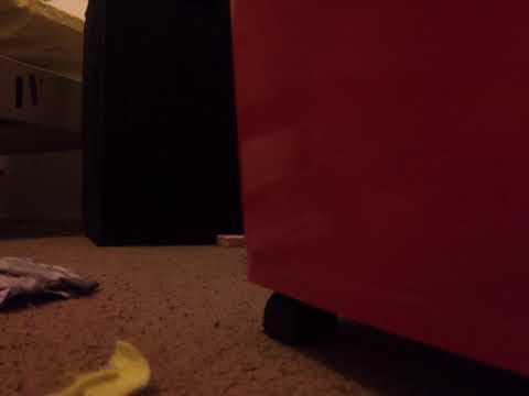 The Bank robbery 2/6