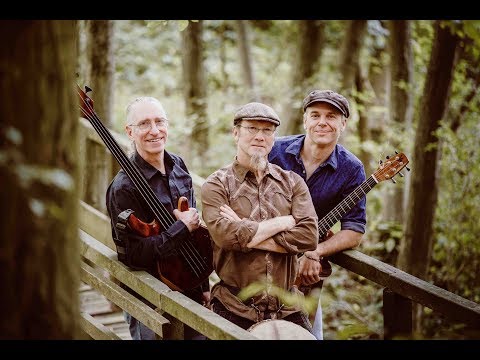 On the Wing ...  the Acoustic Groove Experience (Michael Manring, Jarrod Kaplan, Tony Kaltenberg)