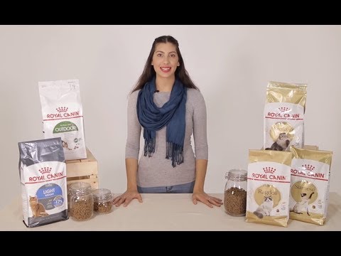 Royal Canin Cat Food - Discover More with Pet Circle