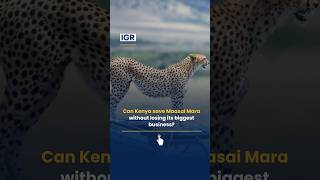 Can Kenya Save the Maasai Mara Without Losing Its Biggest Business? | IGR | India Global Review