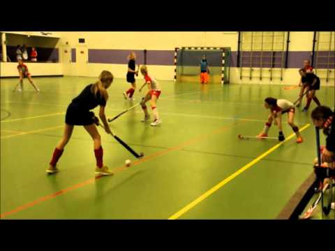 HCG MD2  - Houten MD8