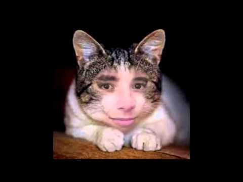 bring me the milk motha