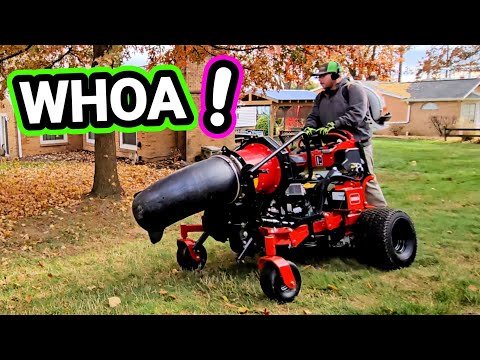 HOW TO DO $400 FALL CLEAN UP START TO FINISH!