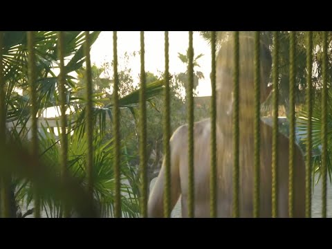 Klev X Dj Tonny X Dj Elis -Tundon