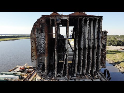 Golden Ray Sections with Drone