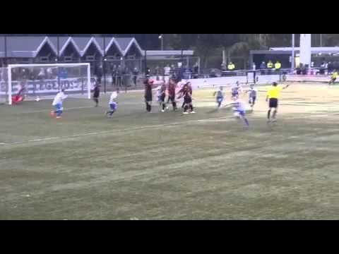 Vrije trap XerxesDZB - Deltasport