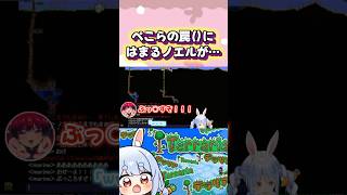 【テラリア】無意識のうちに残酷なトラップを作ってしまう兎田ぺこら#shorts 【兎田ぺこら/宝鐘マリン/白銀ノエル】【ホロライブ/切り抜き】