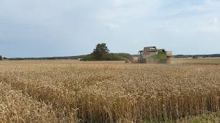 Skl&iacute;zec&iacute; ml&aacute;tička Claas Lexion 460 | Obr&aacute;zek 4 - Agroline